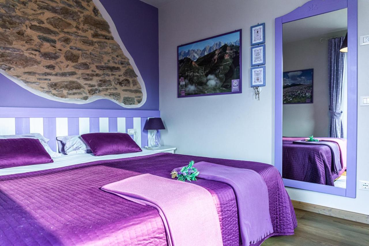 Casa Novecento Bed & Breakfast Feltre Exterior foto